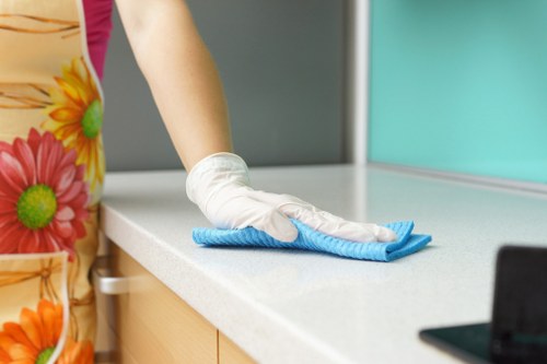 Professional window cleaning in Westhampstead for bright residential and commercial glass