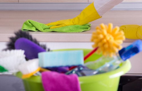 Cleaner in West Hampstead focusing on sustainable recycling practices