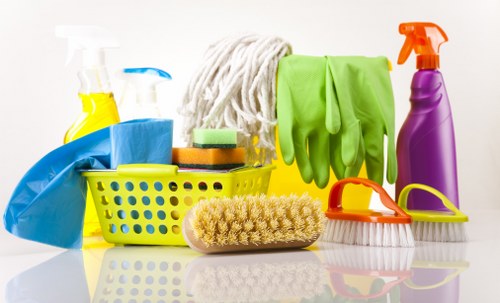 Accessibility statement introduction for Cleaners Westhampstead website