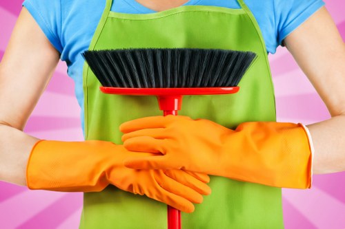 Deep cleaning service by a cleaner in Westhampstead