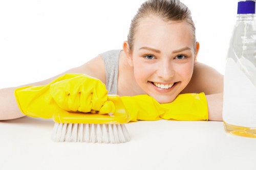 Housekeeping plan for busy homes in West Hampstead