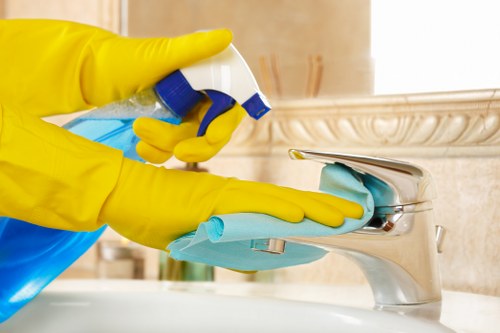Cleaning professional reviewing safety procedures in Westhampstead
