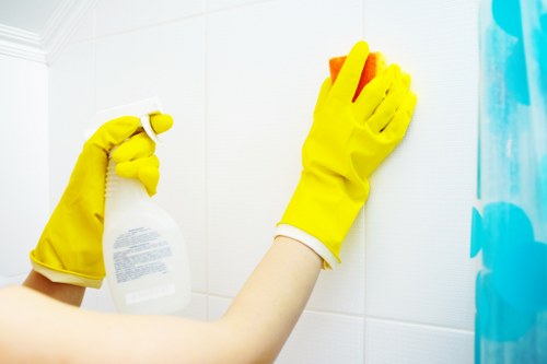 Detailed cleaning service in a West Hampstead kitchen