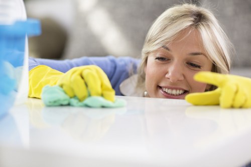 Deep carpet cleaning service for Westhampstead properties
