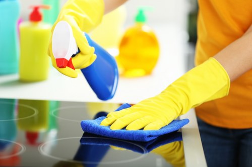 Domestic and commercial cleaner in Westhampstead