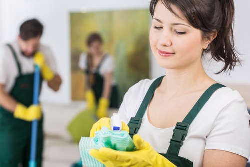 Professional carpet cleaner working in a Westhampstead home