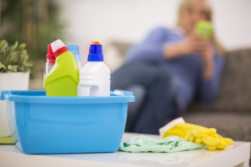 Domestic cleaning support for homes in Westhampstead