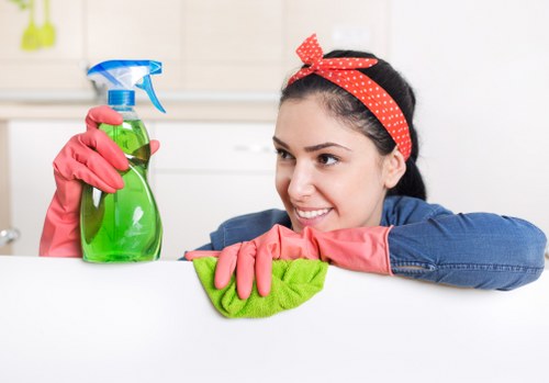 Professional cleaning team following safe working practices