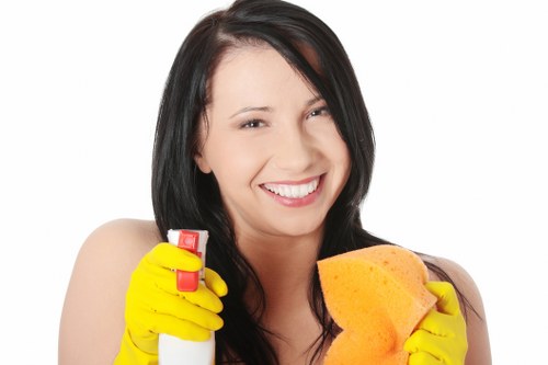 Graphic showing review of cleaning service concerns