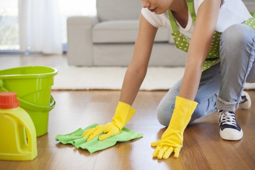 Wood floor care and cleaning in Westhampstead