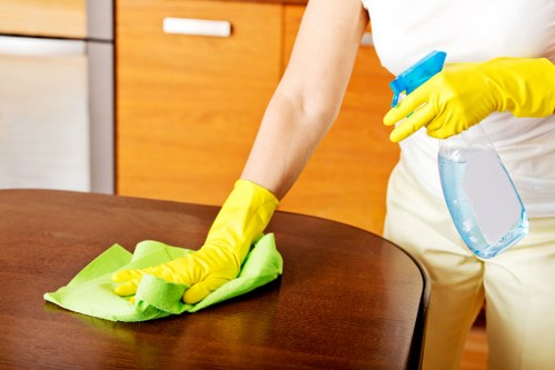 Streak-free window cleaning service for homes in Westhampstead